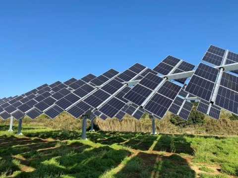 太陽に合わせて可動する3次元追尾式ソーラーシェアリング、茨城県行方市で運転開始