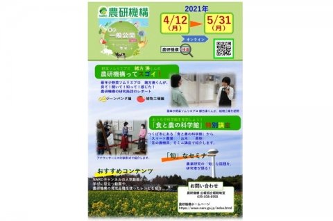 農研機構、「ジーンバンク」などをオンラインで見られる「春の一般公開」開催中