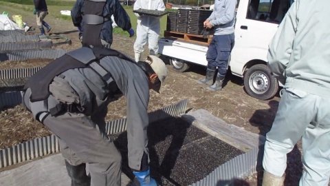 農業向けアシストスーツ「DARWING Hakobelude」の実証実験が鳥取県でスタート