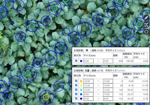 葉色解析サービス「いろは」、ブロッコリー花蕾診断機能の提供を開始