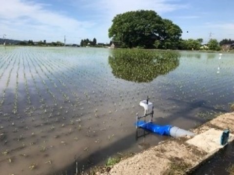 栃木県日光市の棚田で「水田farmo」によるソーシャル水管理実証実験が開始