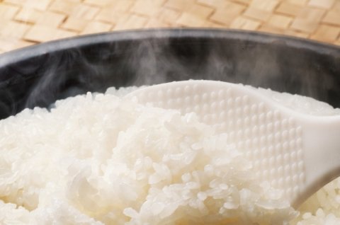 無洗米が環境にやさしい3つの理由とは？ お米選びから始めるSDGs