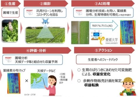 NTT西日本ら3社、農産物の品質や収量を安定化する実証実験を岡山県でスタート