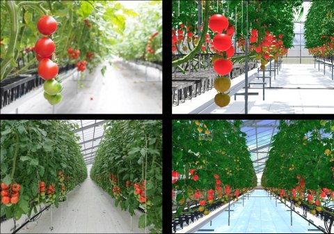 仮想空間でAI栽培シミュレーションできるプラットフォームが誕生