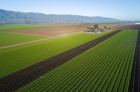 日本産食品の放射線物質による輸入規制を米国が撤廃 規制国は14カ国に減少