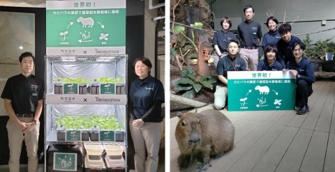 川崎水族館、動物の排泄物を利用した「循環型水耕栽培」を展示