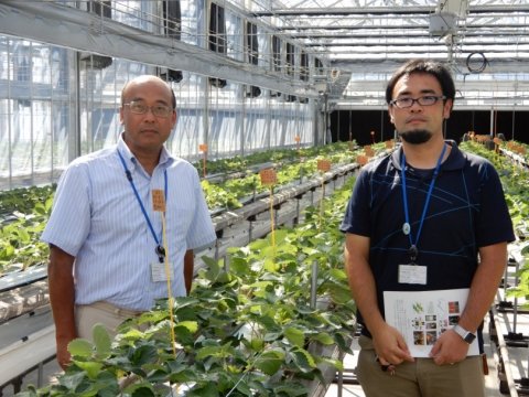 イチゴ栽培ハウスの環境データをまんべんなく収集する方法 〜 農研機構・九州（後編）