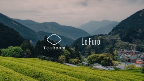「クラフト温泉液肥」を用いた日本茶栽培の実証実験がスタート