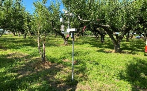 farmo、気象センサーによる果樹の霜害対策を山形県で開始