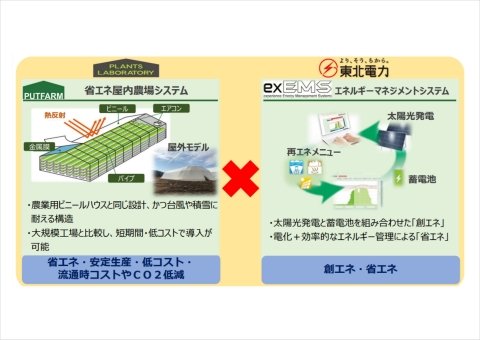 東北電力とプランツラボラトリー、植物工場システムソリューションで協業