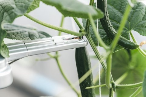 AGRIST、開発中の「きゅうり収穫ロボット」を公開