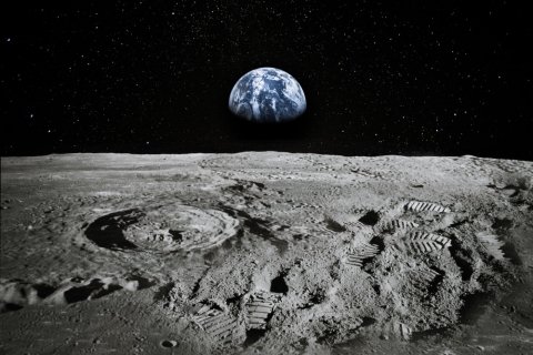TOWINGと大林組、宇宙農業の実現に向けた実証実験に成功
