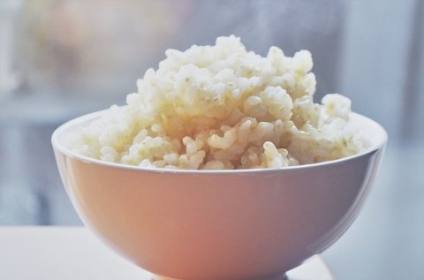 発芽玄米とは？おうちで発芽させる方法・炊飯器での炊き方を紹介【管理栄養士コラム】