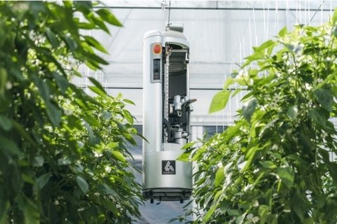 ピーマン自動収穫ロボット「L」の実証実験が鹿児島県でスタート