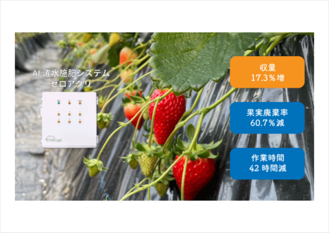 AI潅水施肥システム「ゼロアグリ」によるイチゴ栽培の実証結果が公表