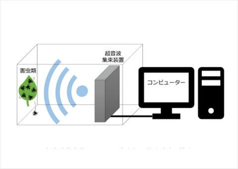 農研機構ら、超音波により農薬に耐性を持つ害虫の防除に成功