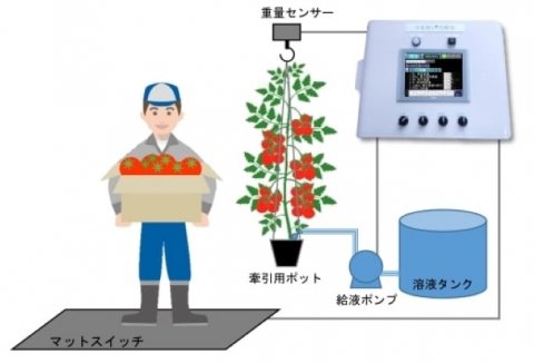 トマトの水耕栽培向け自動灌水システム「うるおい力持ち」が登場