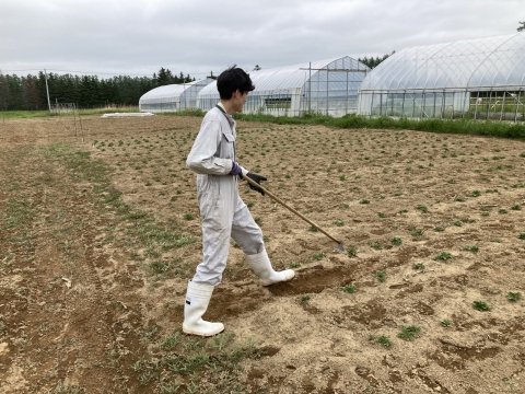 日本の農業が「高付加価値化」と「価格競争力」をつけるには？【とある農業大学生から見た日本の農業 第2回】