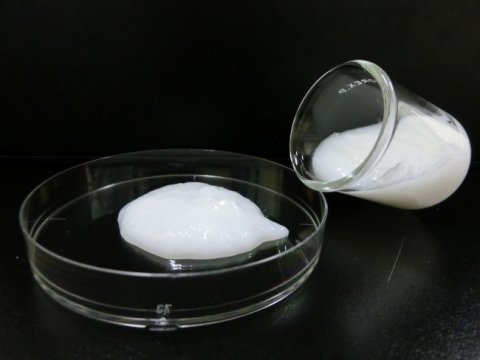 中越パルプら、セルロースナノファイバーを活用した病害防除資材を試験販売