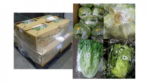 日本産野菜の輸出に関わるQRコードを使ったトレーサビリティの「見える化」【生産者目線でスマート農業を考える 第22回】