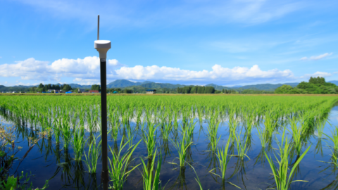 農業IoT事業者向け「水田用水位センサー」のELTRES版が2022年7月末に発売