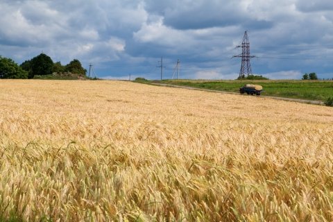 ウクライナの穀物の輸出促進に向けて、国際連合食糧農業機関と日本が協力