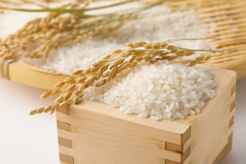 いつものお米より“もっちり食感”の「低アミロース米」とは？