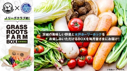 Jリーグクラブ「水戸ホーリーホック」が野菜の定期便サービスを開始