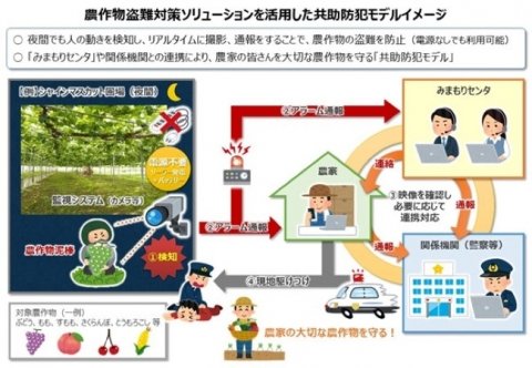 NTT東日本、ICTで関係機関と連携する農産物盗難対策共助システムを山梨県で実証