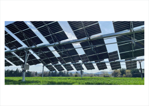 イタリア製営農型太陽光発電技術を用いたソーラーシェアリングシステムが国内で始動