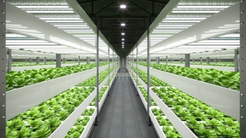 「令和4年度農研機構つくば植物工場研修会」が11月22日にオンラインで開催