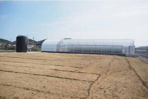 ニチリウ永瀬と九州大学、キュウリの自動栽培システムの開発に着手