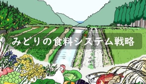 「みどりの食料システム法」に基づく基盤確立事業実施計画の認定事業 6事業が発表