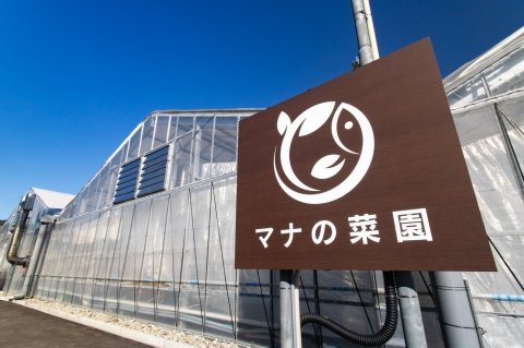 アクアポニックス向けIoTサービス「マナシステム」を導入した農場が岐阜県にオープン