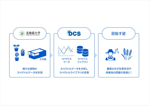 北海道大学ら、稲の生育状況を光の波長で指標化する研究をスタート