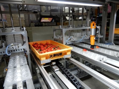2024年度に市販化予定のJA阿蘇「いちごの選果ロボット」はどこまできたか