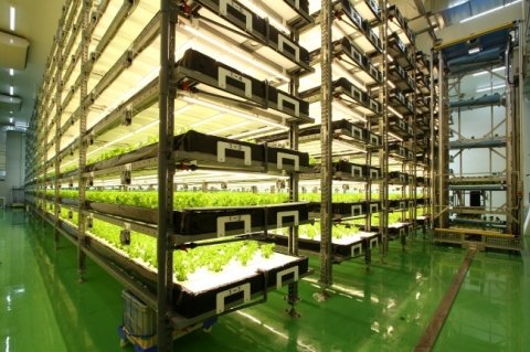 椿本チエイン、福井県に大型植物工場を建設 中食・外食での需要増に対応
