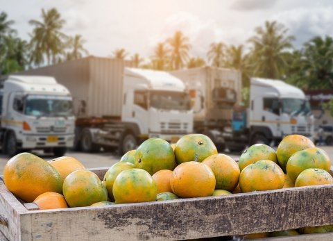 「東南アジア向け青果物の輸出に関するセミナー」が3月2日にオンラインで開催