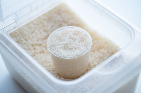お米につく虫の予防方法とわいてしまったときの対処法【管理栄養士コラム】