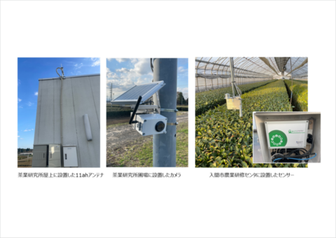 NTT東日本、新規格の広域Wi-Fi「IEEE 802.11ah」を活用した茶葉栽培の実証実験をスタート