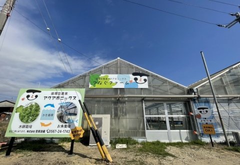 農福連携でリーフレタスなどを栽培するアクアポニックス農園が愛知県に開設