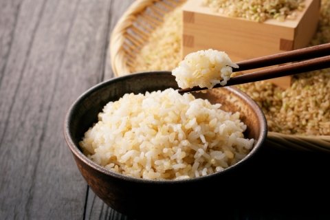 玄米食を始めるときに知っておきたいこと5つ【管理栄養士コラム】