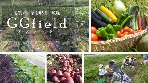 定額で野菜を好きなだけ収穫できるサブスクサービス「GGfield」が愛知県でスタート