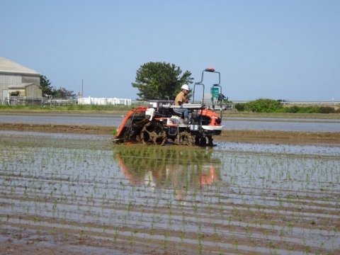 「KSAS」と「xarvio® FIELD MANAGER」のシステム連携に向け、田植機による可変施肥の実証試験がスタート
