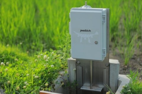 笑農和、水田から発生する温室効果ガスの削減値を数値化する「paditch カーボン・オフセット」を開発