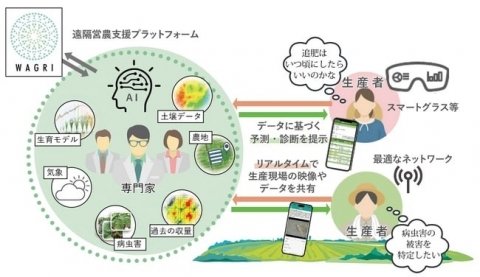 農研機構とNTT東日本ら、専門家やAIと連携する「遠隔営農支援プロジェクト」を開始