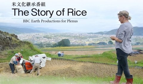 プレナス、日本の米文化継承番組「The Story of Rice」オンライン上映会を7月29日に開催