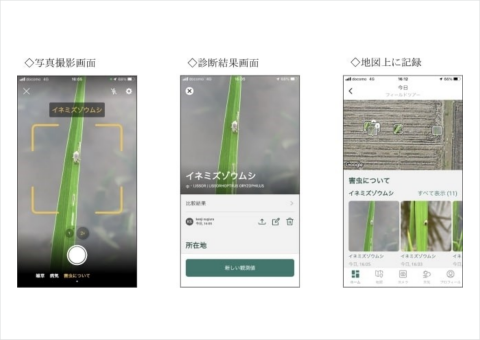 AI水田雑草診断アプリ「MagicScout」に水稲の病害虫診断機能が追加