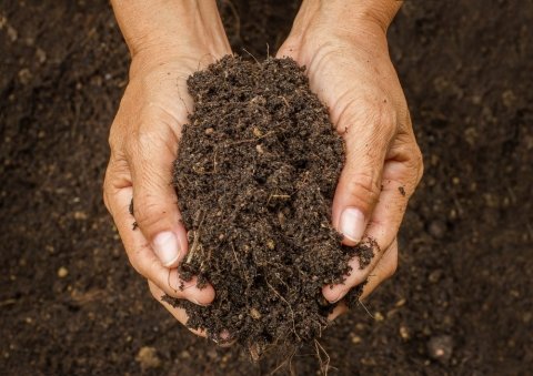 【新連載：東京農業大学 加藤拓の「土壌入門」第1回】「土壌」ってなんだろう？