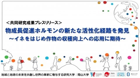 名古屋大学らの研究グループが植物成長促進ホルモンの新たな活性化経路を発見、収量向上への応用に期待
